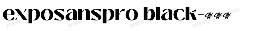 exposanspro black字体转换